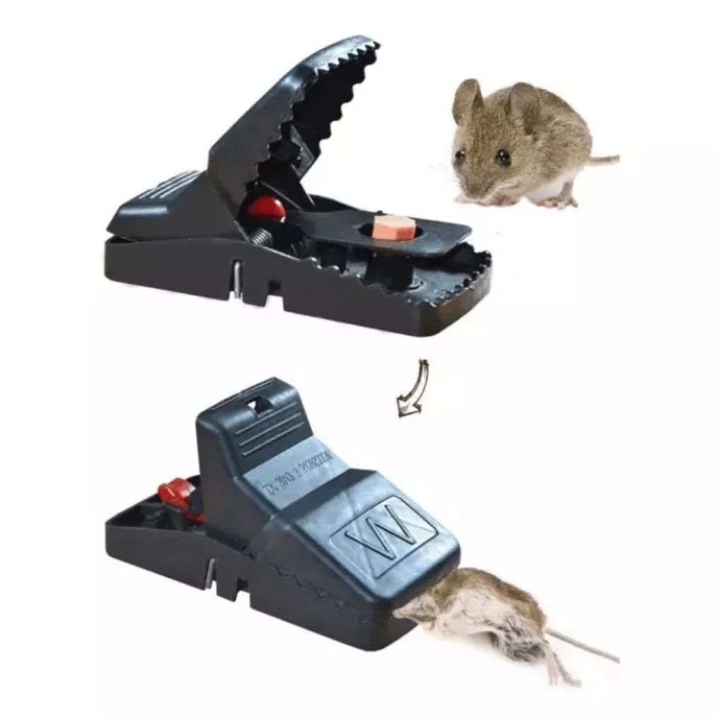 Mouse Trap