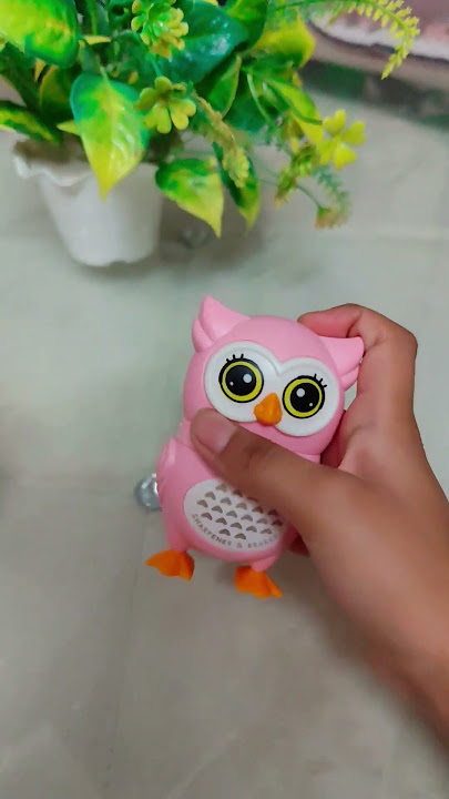 Sharpener with Erase Owl Shaped Cute & Colorful Combo for Kids